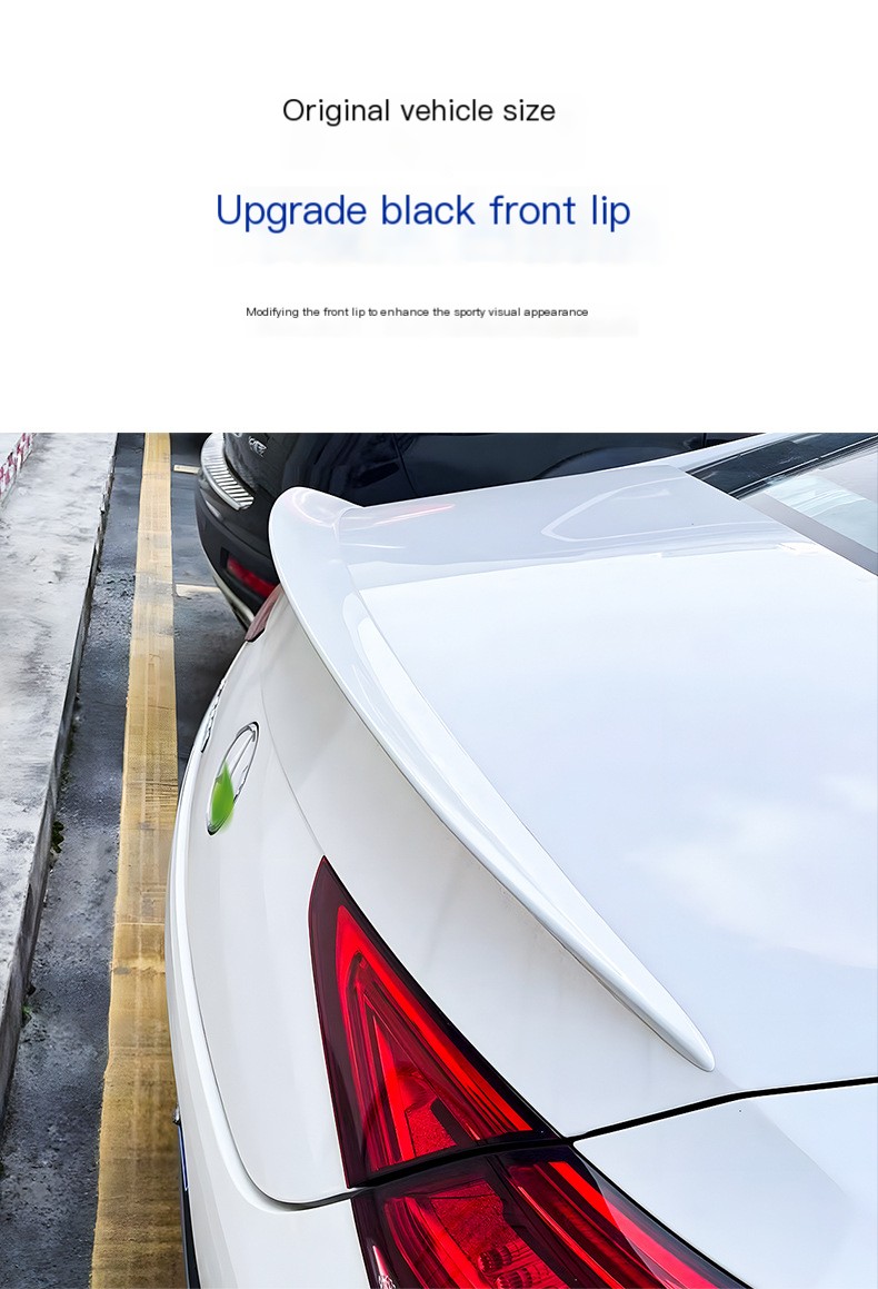 AMG Tail Wing Image 5