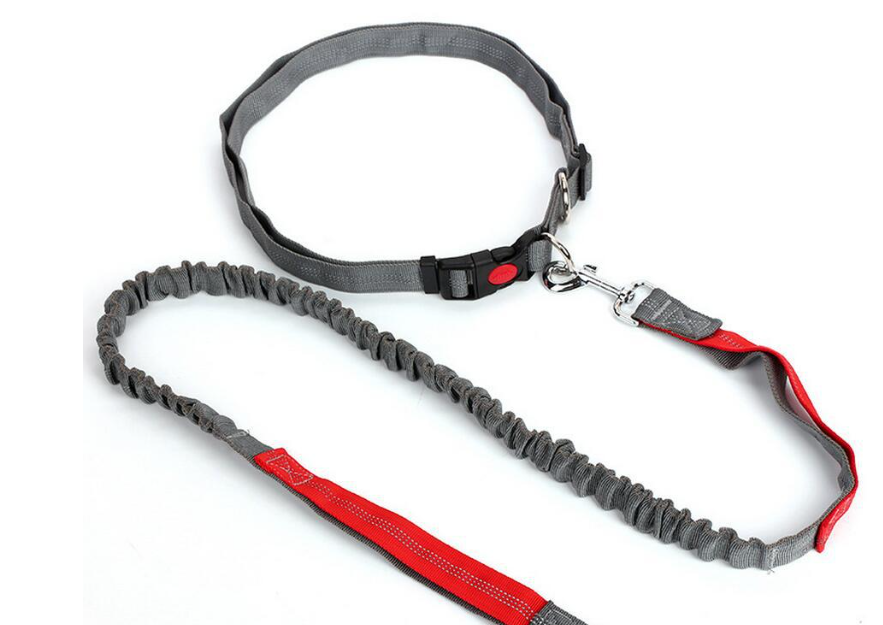 Traction Leash Image 4