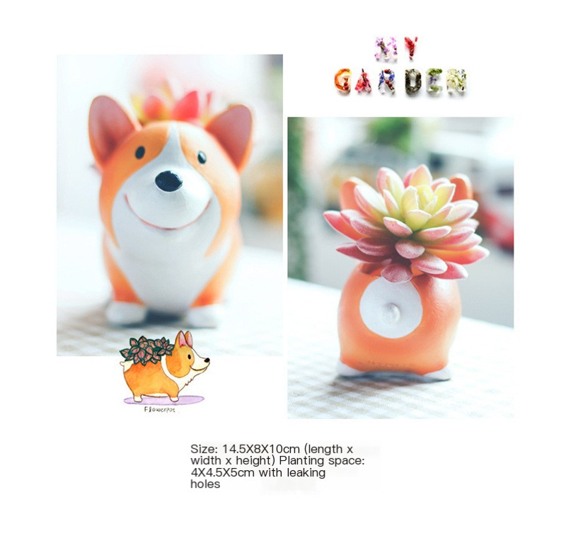 Corgi Flower Pot in Office