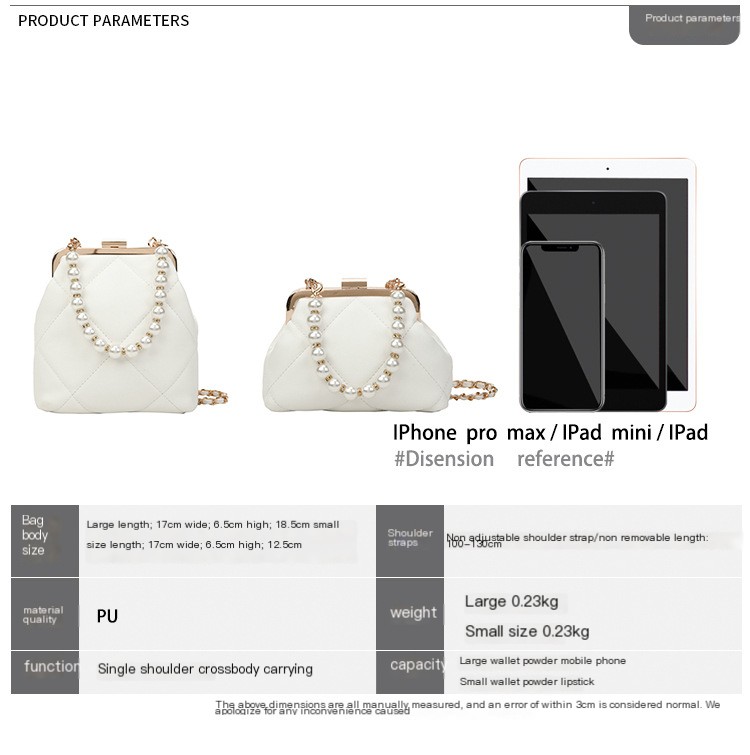 Stylish Pearl Clip Bag