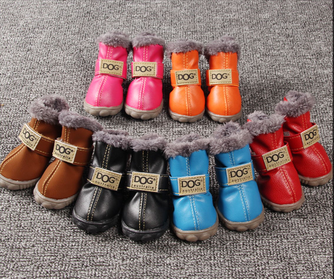 Various colors of dog boots