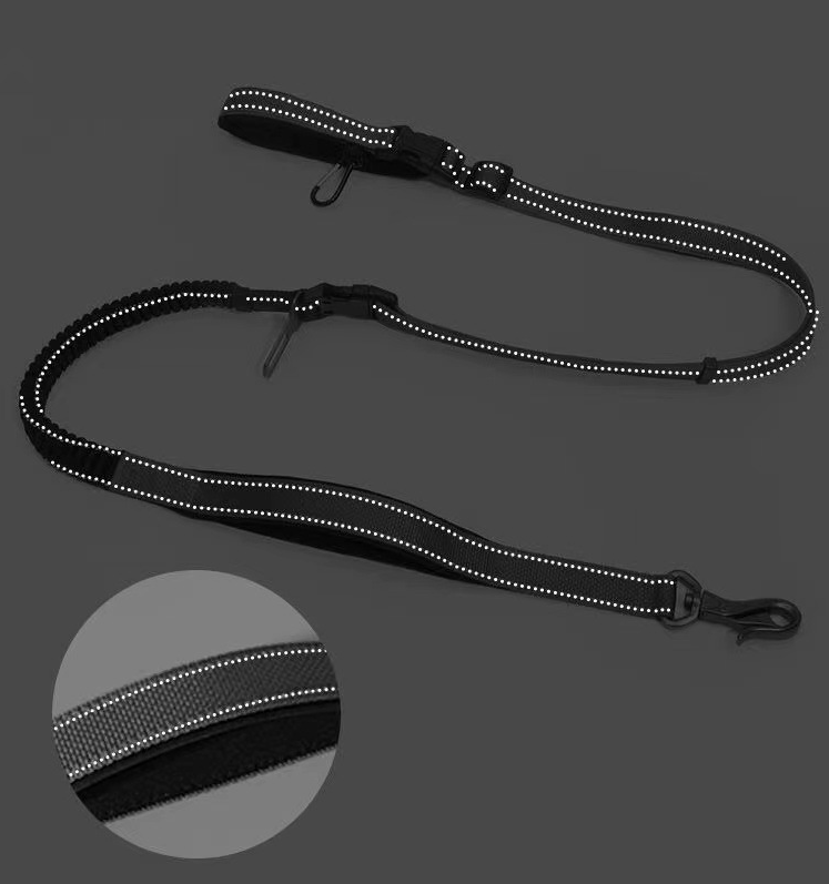 Dog Leash
