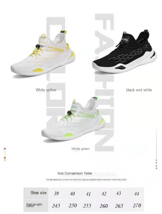 Sneaker Image 1