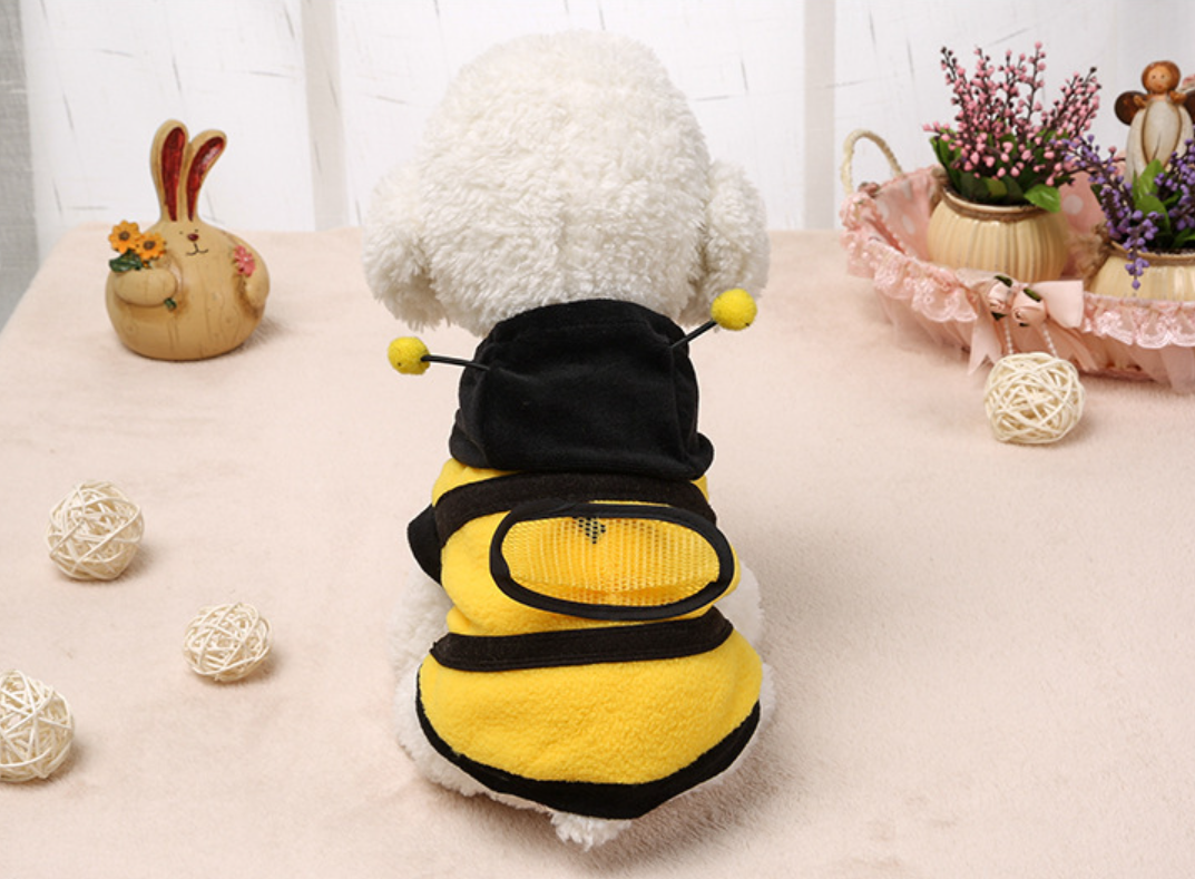 Pet Outfit Image 3