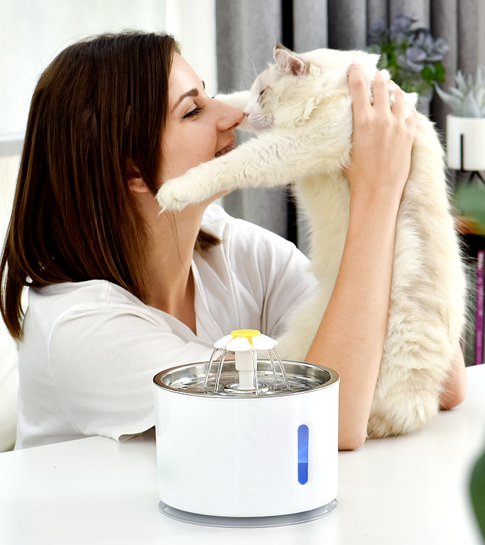 Automatic Water Feeder