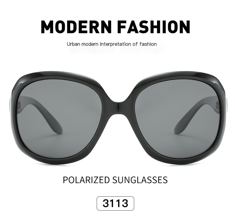 3113 Polarized Sunglasses 2