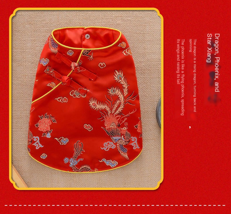 Dog in Tang Suit 3