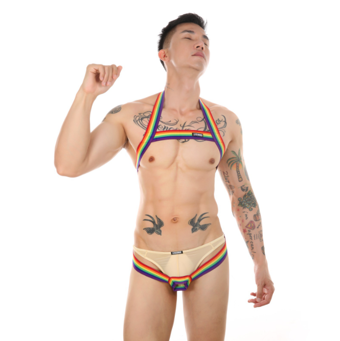 Men's Elastic Chest Harness Lingerie image