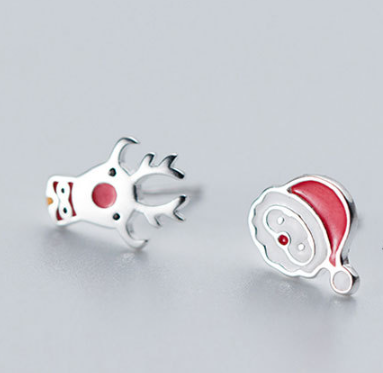 Elegant Silver Earrings