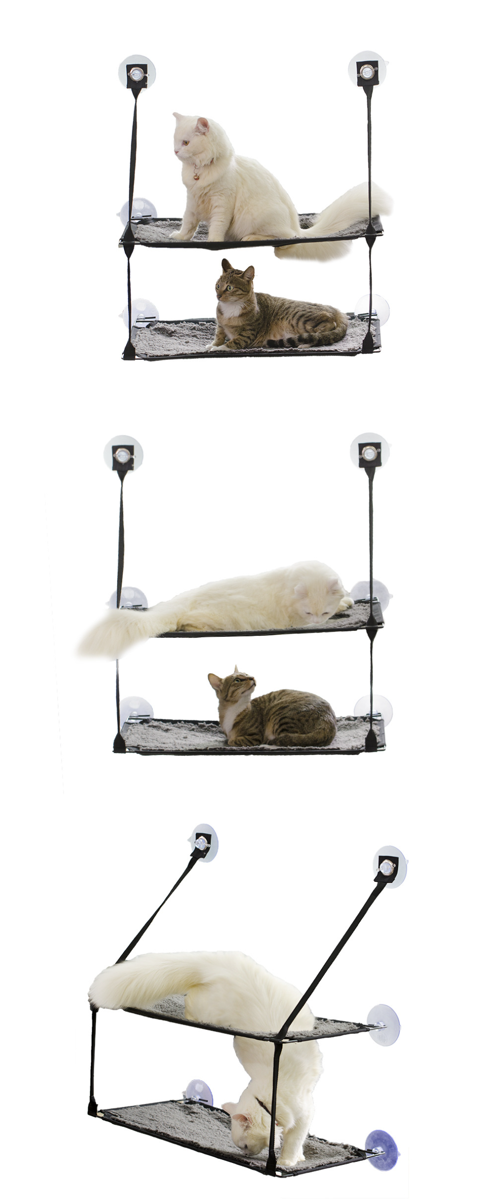 Cat Hammock 4