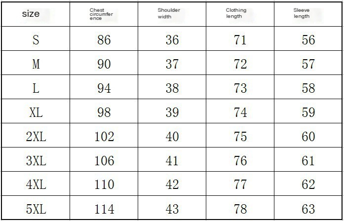 Chiffon Long Sleeve Shirt 1