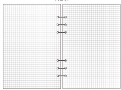 Loose Leaf Replacement Paper