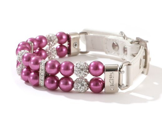 Pet Collar 5