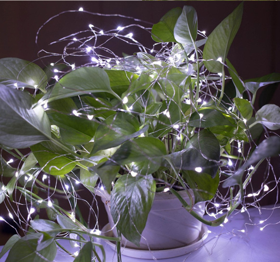 LED Lights in action