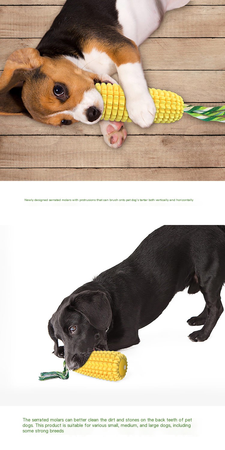 Dog Toy Image 4