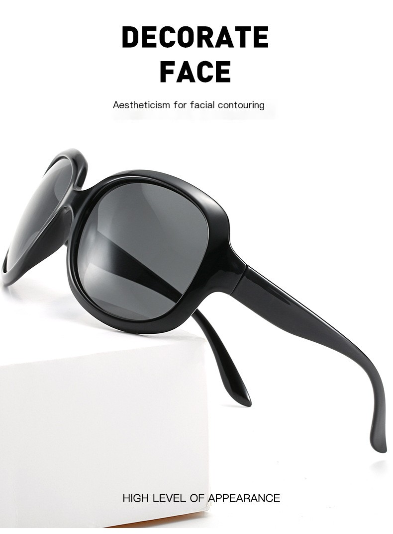 3113 Polarized Sunglasses 3