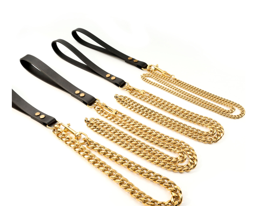 Pet Training Chain Image 3