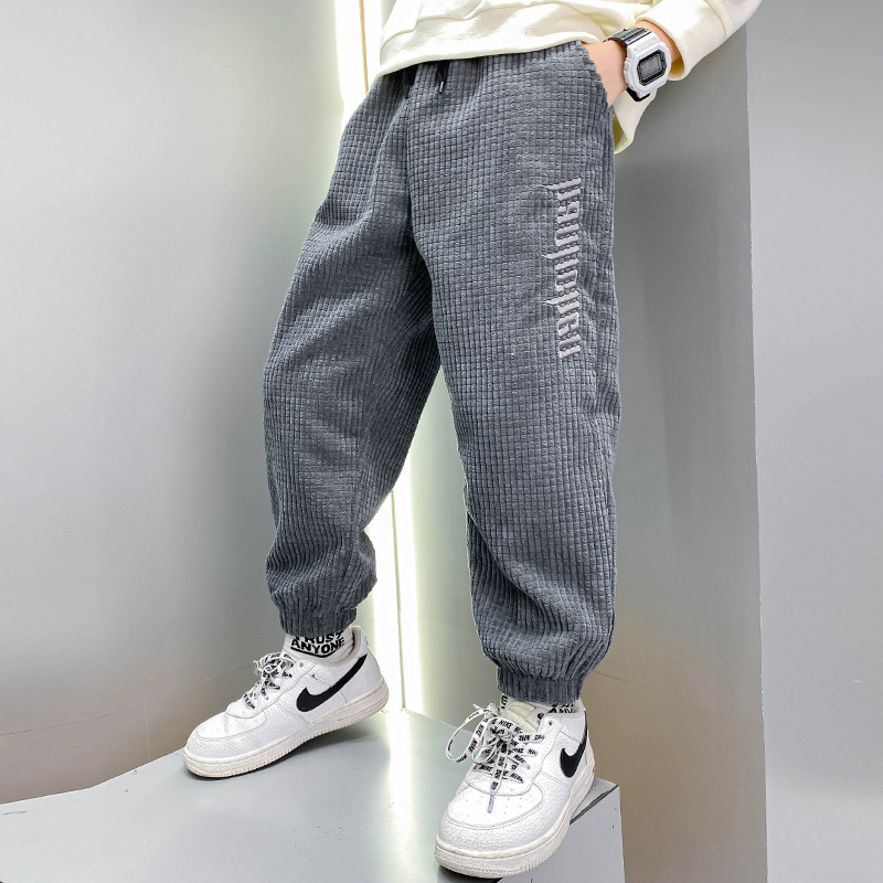 Boys' Casual Pants Thickened Plus Velvet Middle-aged Kids image