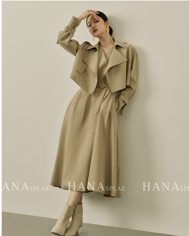 Dress Image 5
