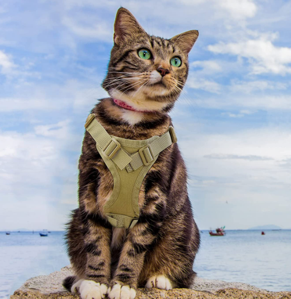Tactical Cat Vest