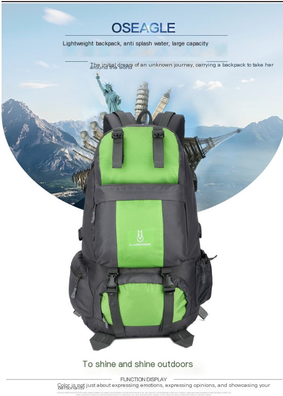 Backpack Image 5