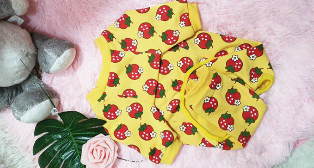 Pet Clothing Image 2