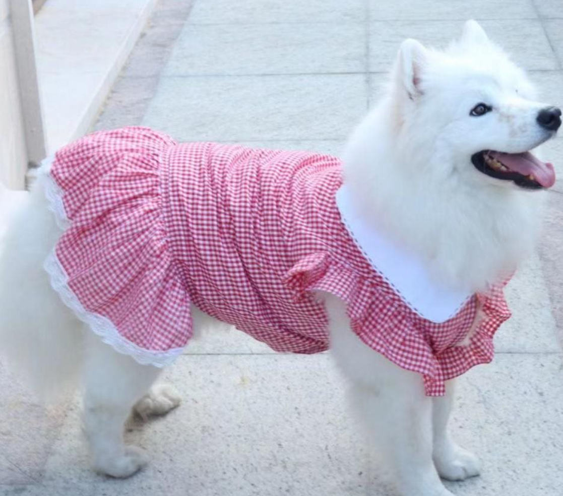Pet Dress Image 2