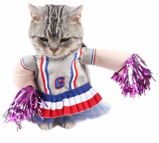 Pet Apparel Image 3