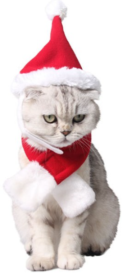 Christmas Pet Set - Image 1