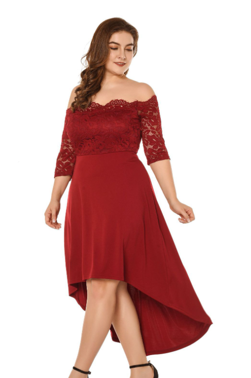 Lace Plus Size Dress Image 3