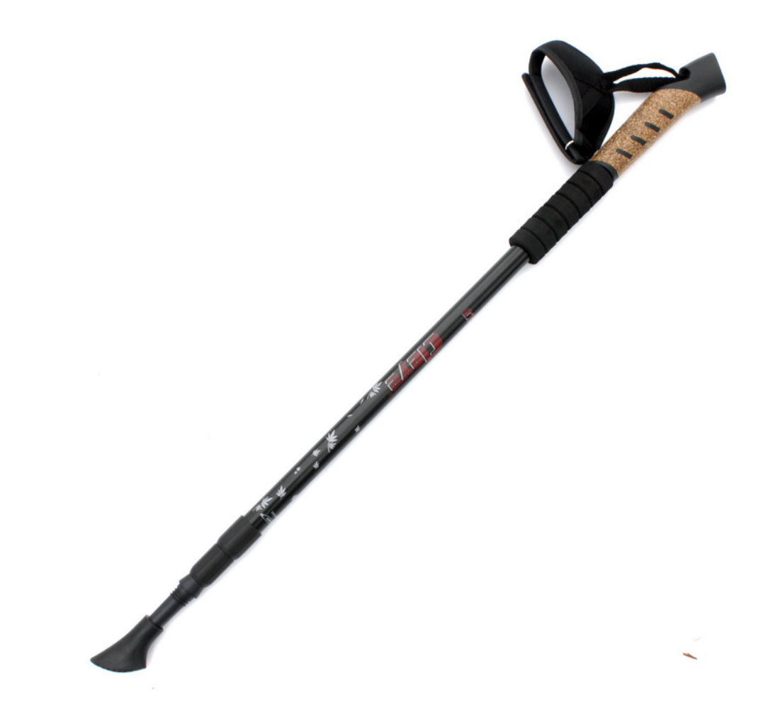 Trekking pole silver