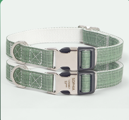 Dog Collar with Tag