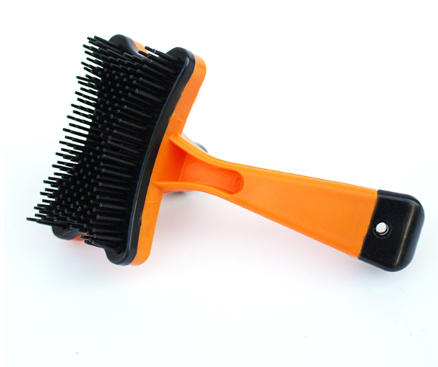 Fun Grooming