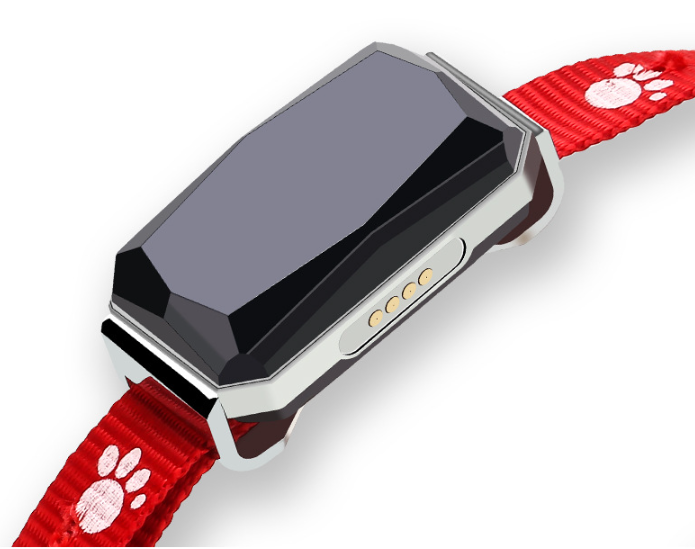 Pet Locator Image 5
