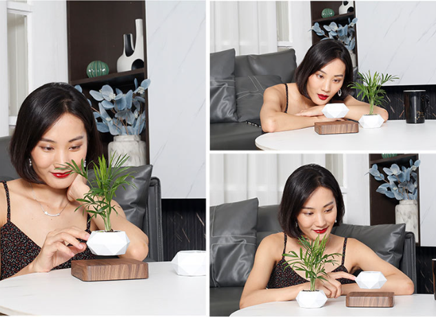 Magnetic Levitation Flowerpot 11