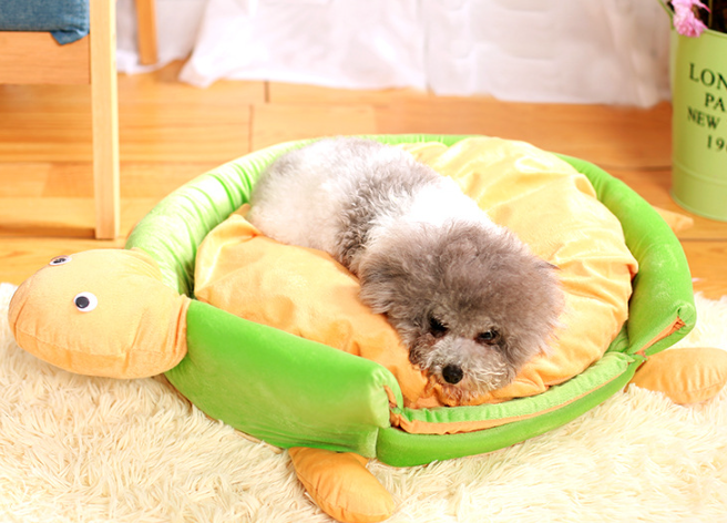 Pet Turtle Dog House