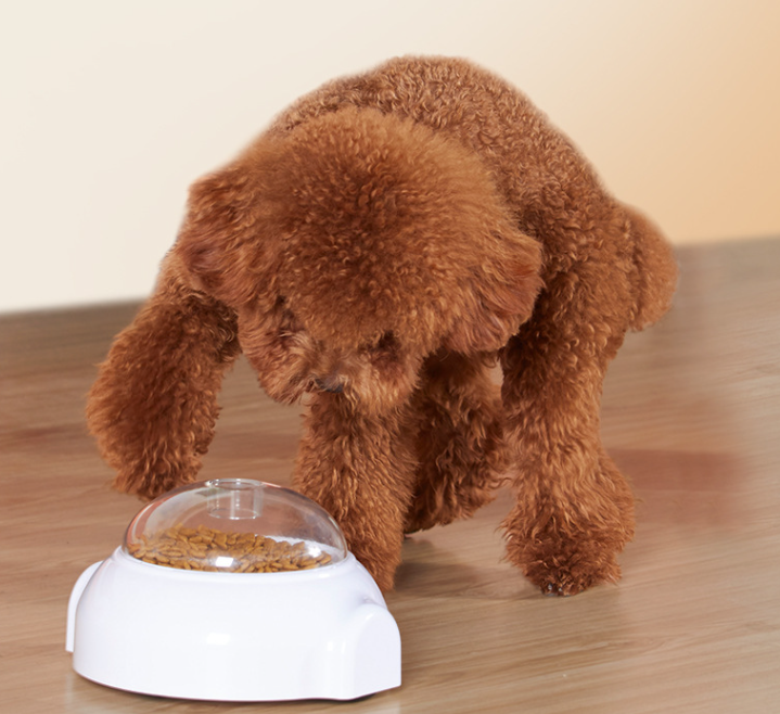 Roller Food Dispensing Ball Image 5