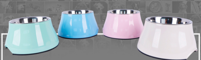 Elevated Pet Bowl Image 1