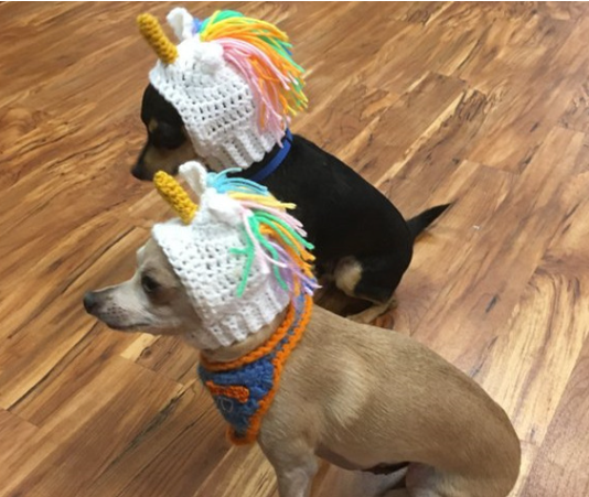 Unicorn Pet Hat
