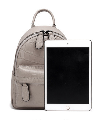 Stylish Backpack Interior