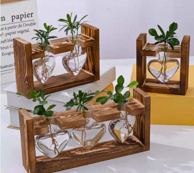 Creative Transparent Plant Medium Wooden Rack