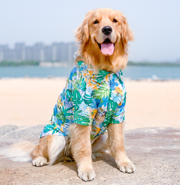 Dog Summer Shirt 2