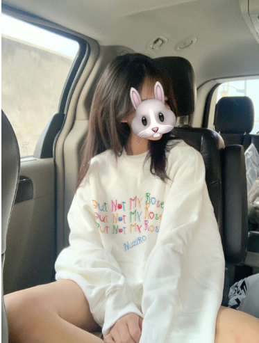 Women's Long Sleeve All-match Fish Embroidery Loose Sweater Image 2