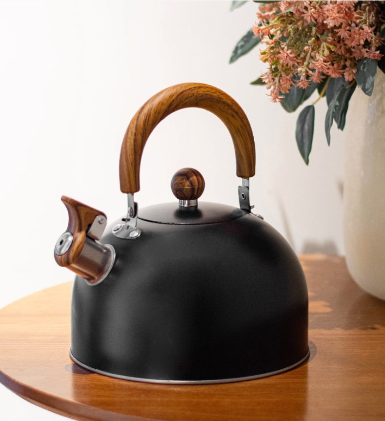 Stainless Steel Kettle 1