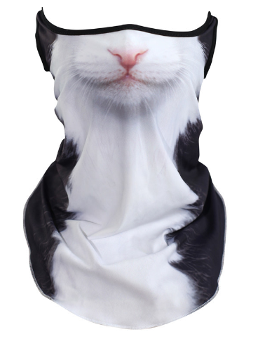 Multi-function mask image 2