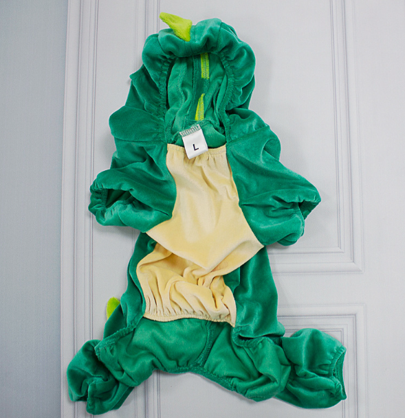 Dinosaur Costume 4