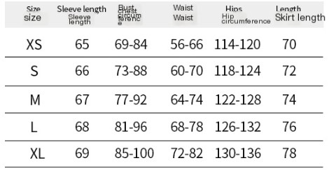 Dark Gothic Lace Panels Dress