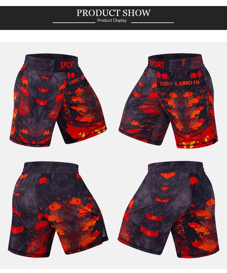 Sanda Fighting Shorts 9
