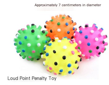 Pet Toy Ball
