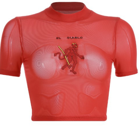 Red Mesh Top 2